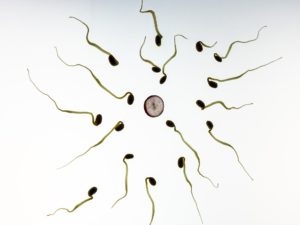 Sometimes the cost of fertility treatment includes donor eggs, donor sperm and IVF.