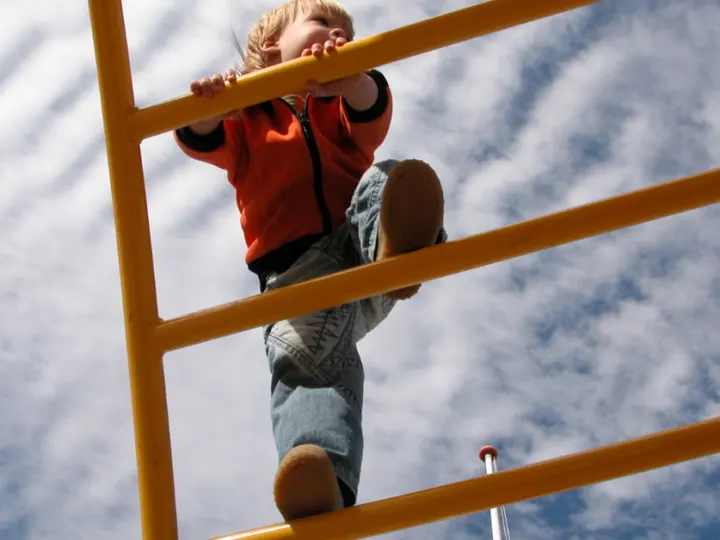 Best Climbing Toys From Amazon 2024