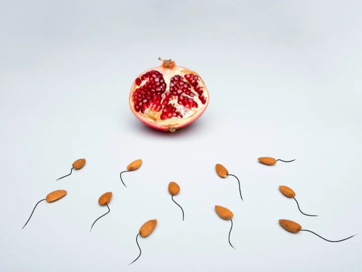 What Is A Sperm Analysis?  Looking Beyond The Numbers