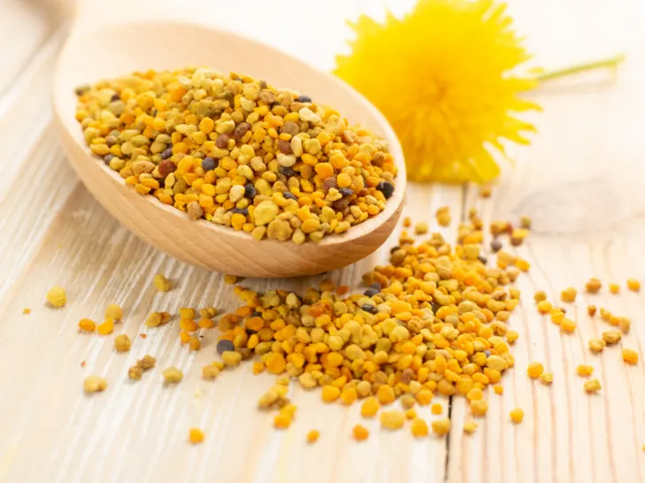 Best Bee Pollen Supplement To Aid Fertility
