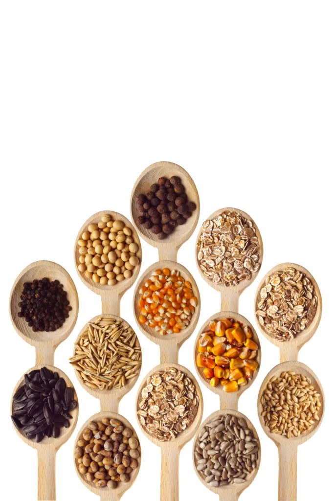 seed cycling for hormone balance